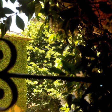 Borgo Lucignanello Bandini Villa San Giovanni dʼAsso Eksteriør bilde