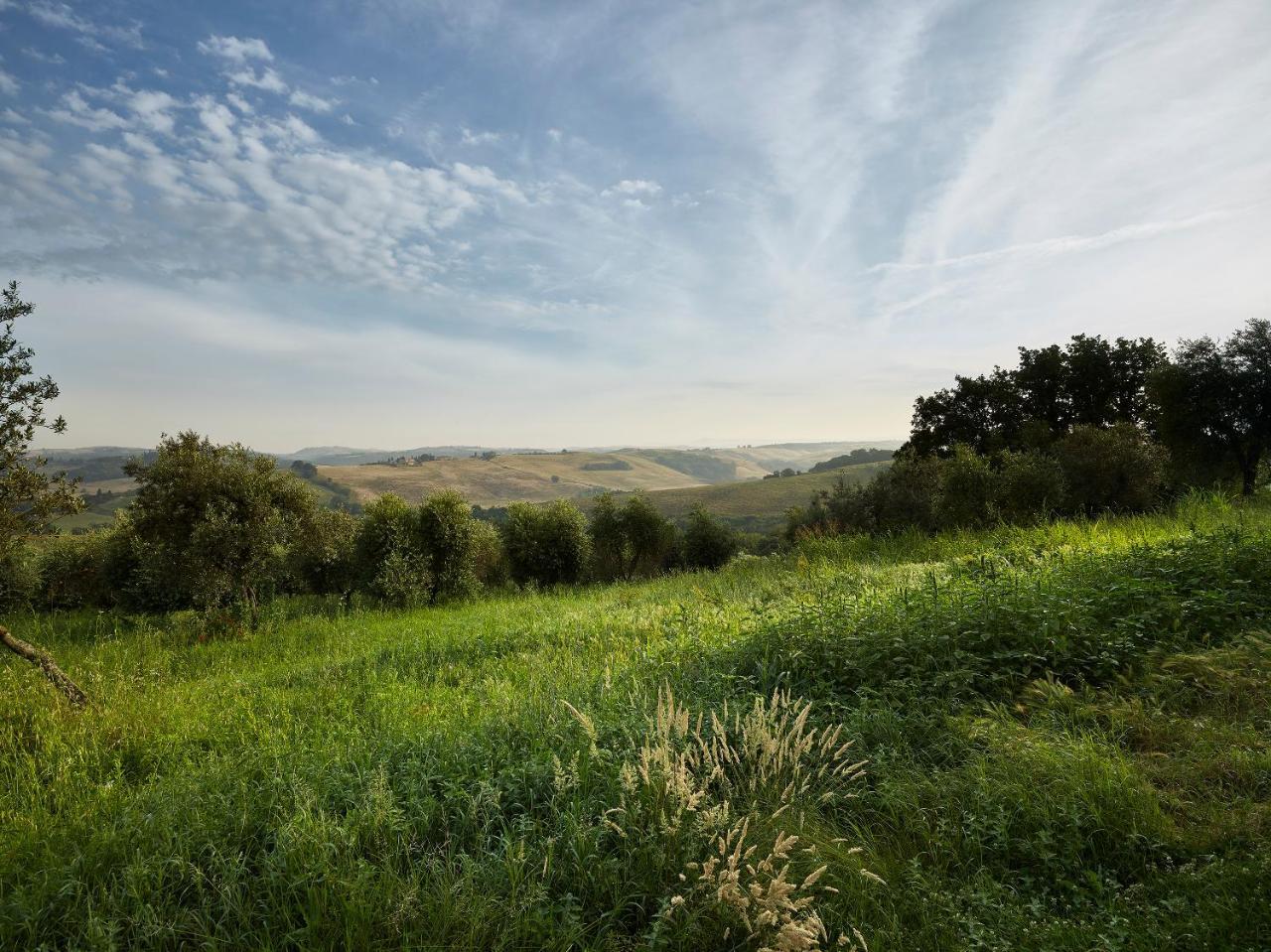 Borgo Lucignanello Bandini Villa San Giovanni dʼAsso Eksteriør bilde