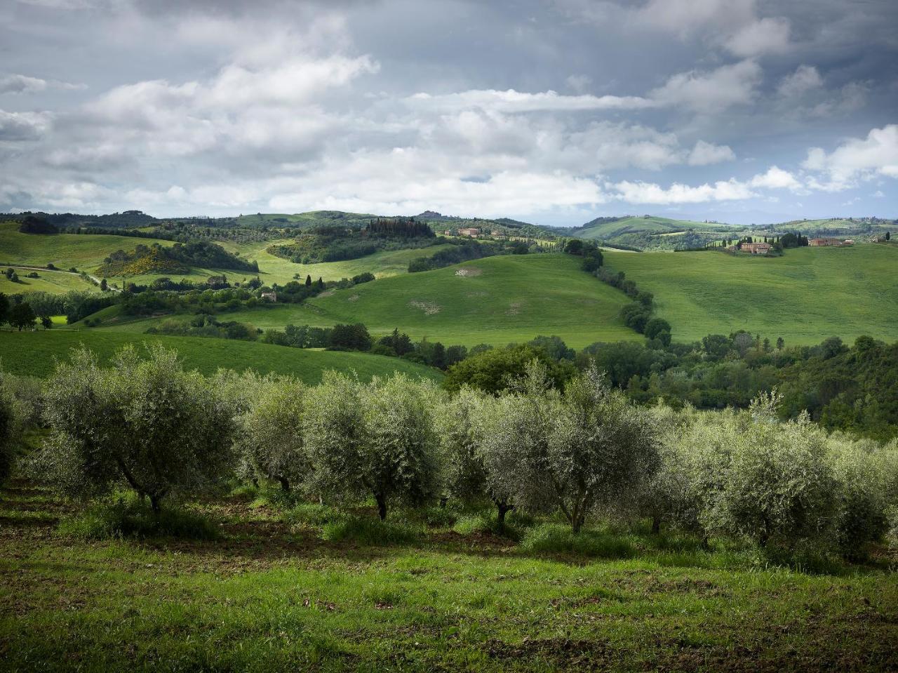 Borgo Lucignanello Bandini Villa San Giovanni dʼAsso Eksteriør bilde